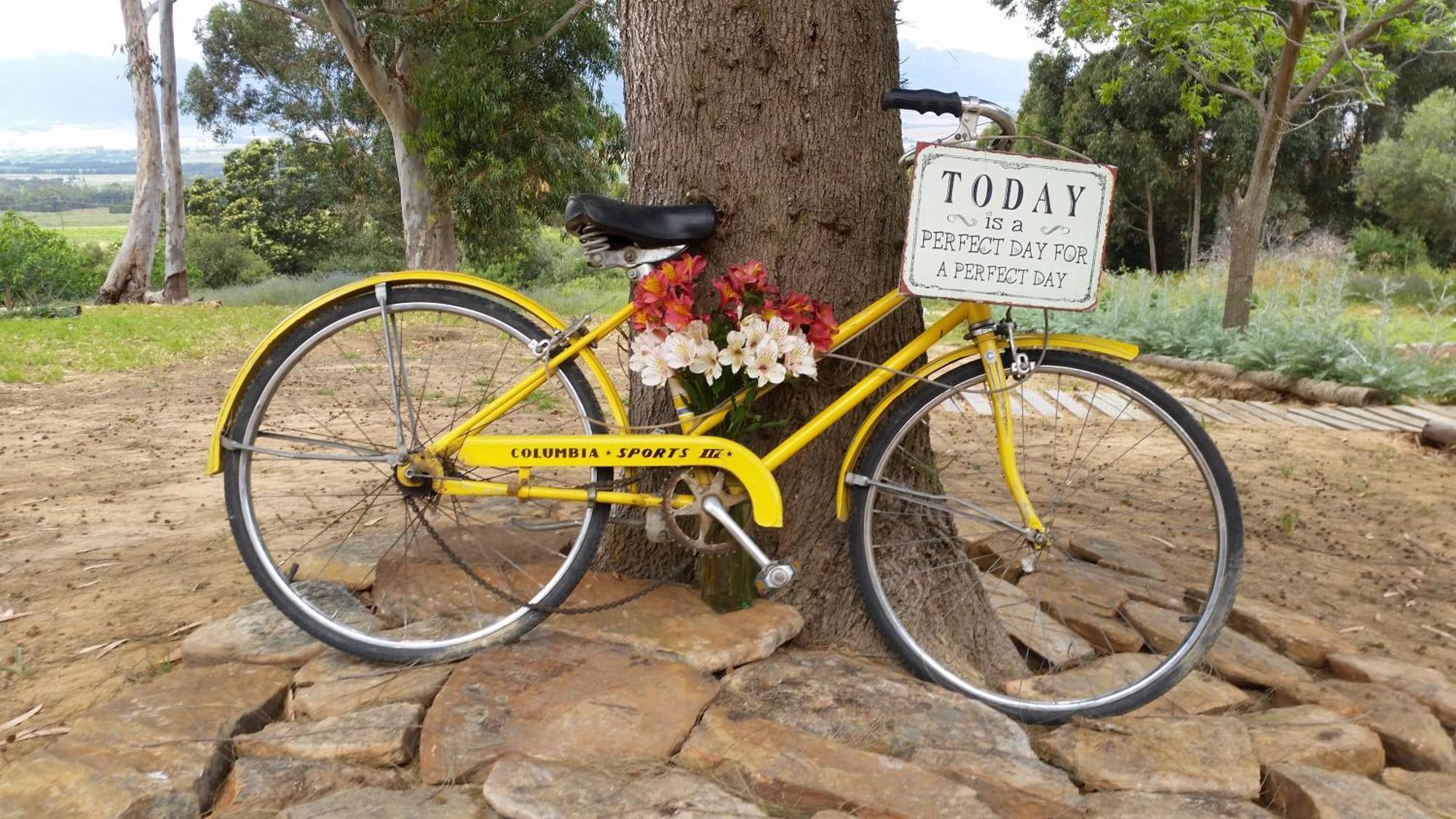Oudekloof Wine Estate Villa Tulbagh Ngoại thất bức ảnh